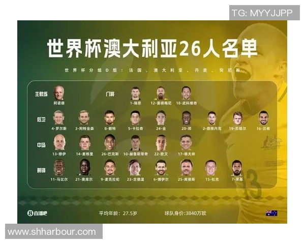 世界杯足球赛球星名单解析与各国代表队阵容深度分析