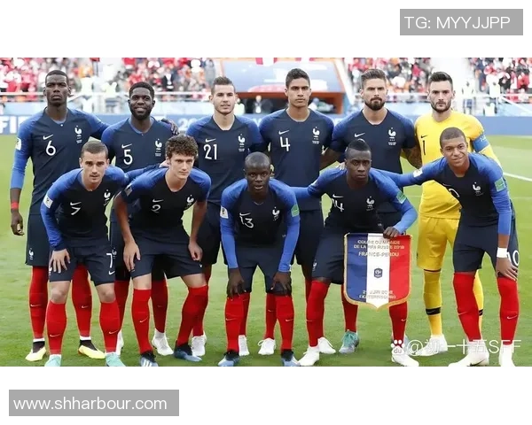 法国足球队现役明星球员分析与未来发展潜力探讨