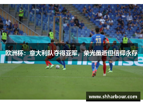 欧洲杯：意大利队夺得亚军，荣光虽逝但信仰永存