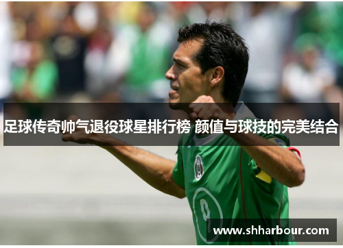 足球传奇帅气退役球星排行榜 颜值与球技的完美结合
