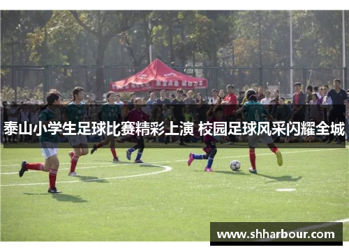 泰山小学生足球比赛精彩上演 校园足球风采闪耀全城