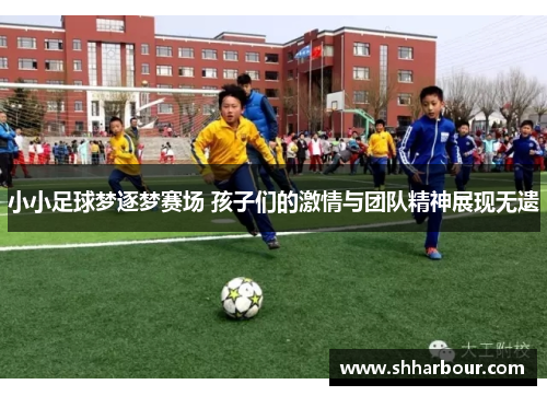 小小足球梦逐梦赛场 孩子们的激情与团队精神展现无遗