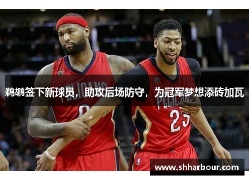 鹈鹕签下新球员，助攻后场防守，为冠军梦想添砖加瓦