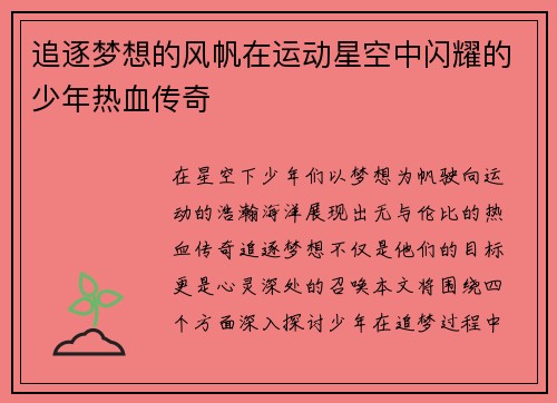 追逐梦想的风帆在运动星空中闪耀的少年热血传奇